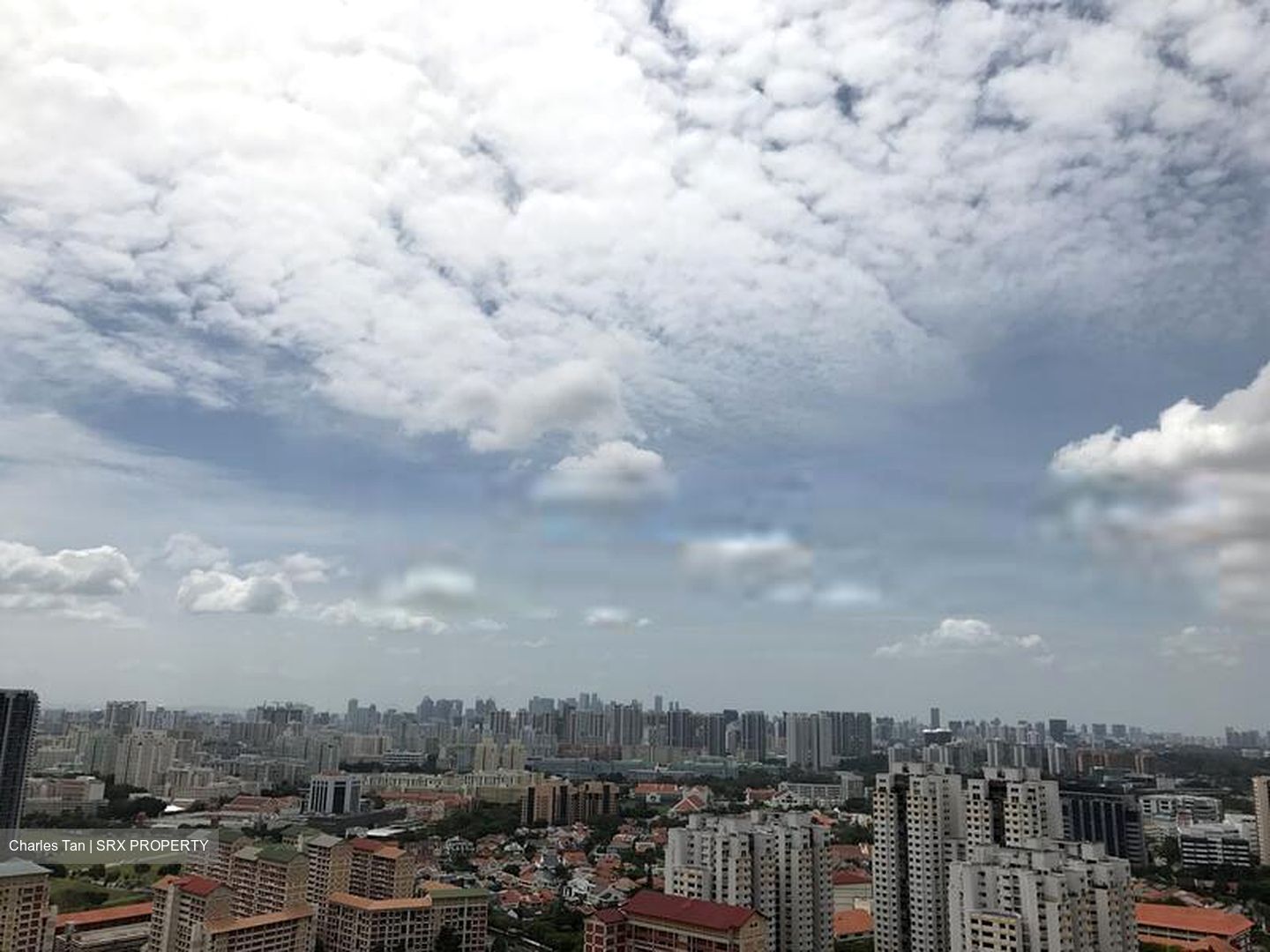 Clover By The Park (D20), Condominium #405277211